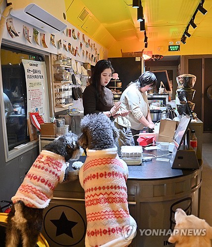 PET TRAIN-THEMED RESTAURANT IN CHANGCHUN