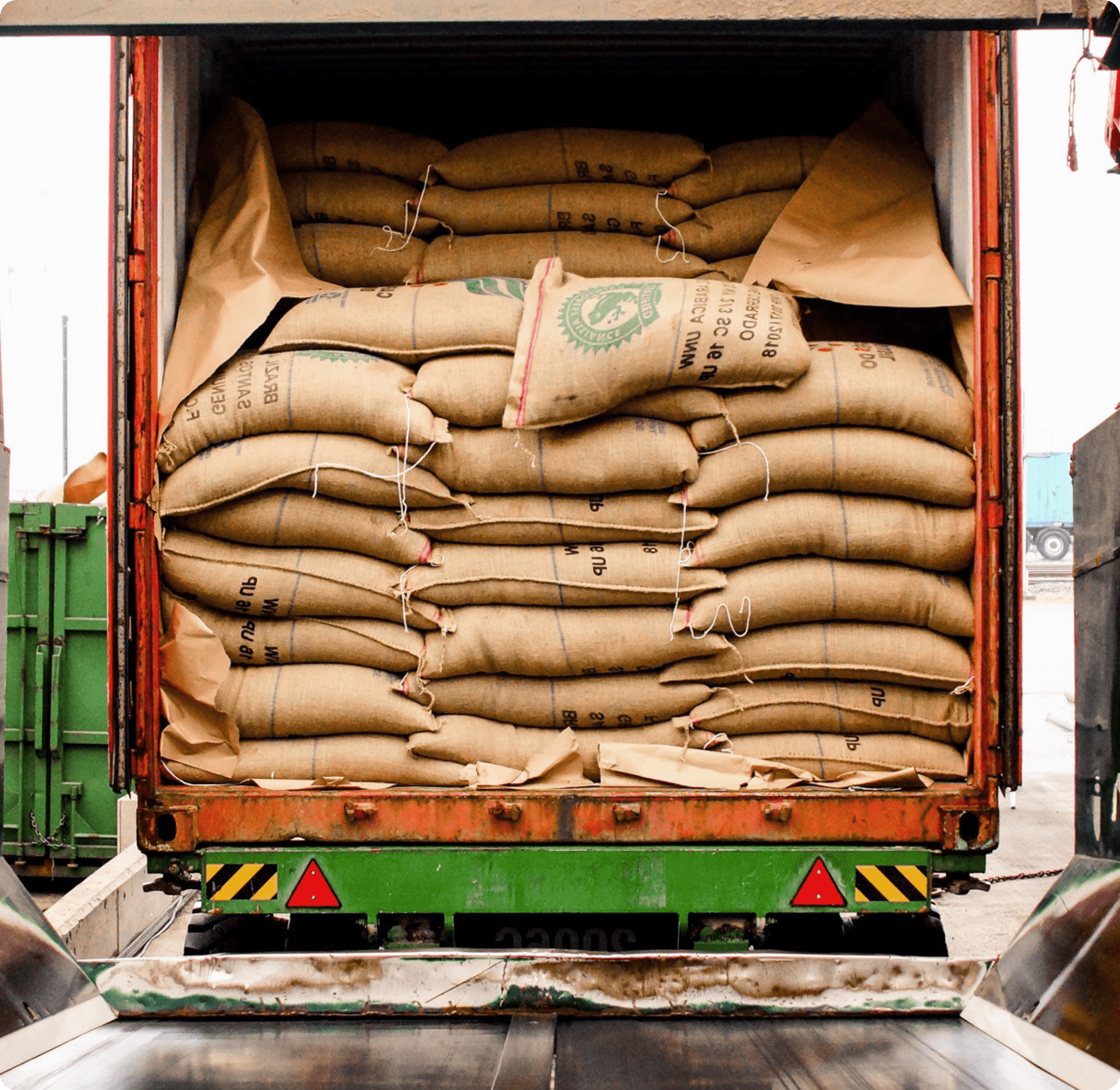 Container full of green specialty coffee sacks