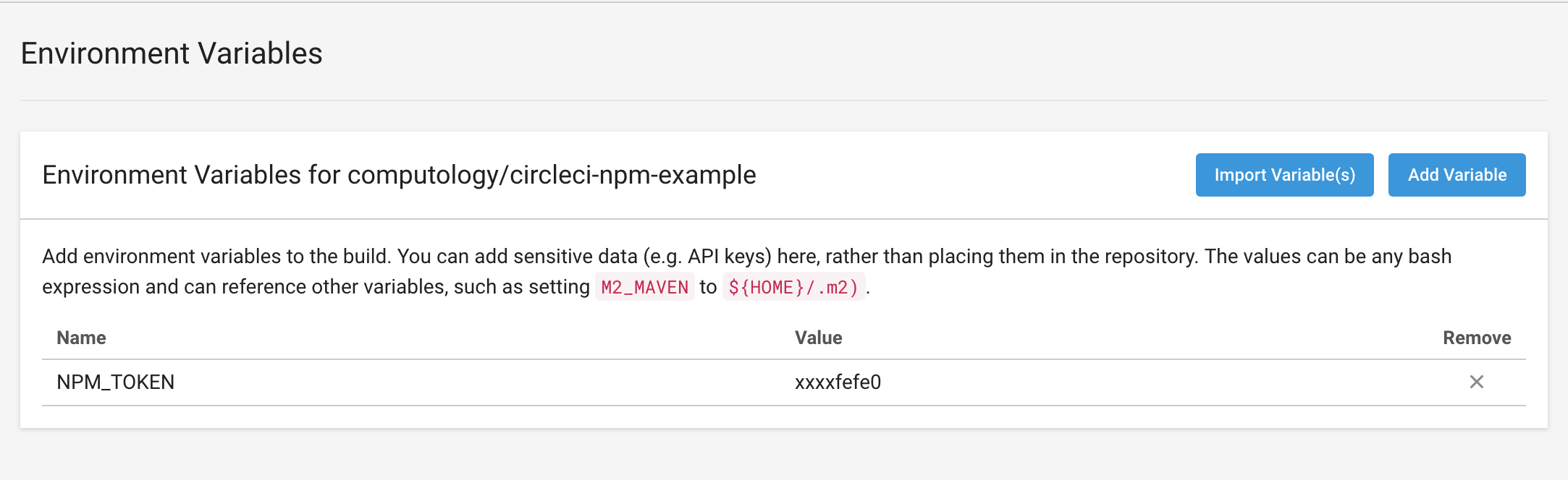 CircleCI Environment Variable Section