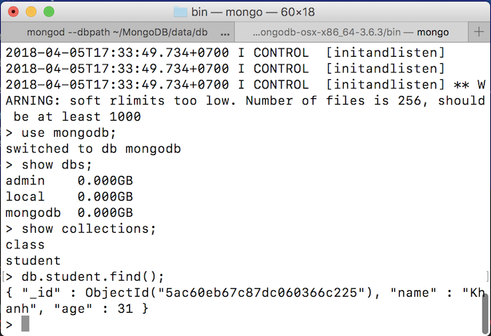 Manipulate with MongoDB in Java application