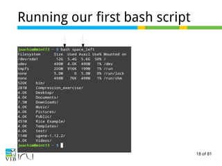 18 of 81
Running our first bash script
 