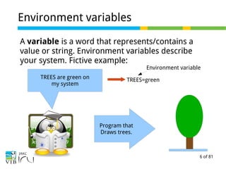 6 of 81
Environment variables
A variable is a word that represents/contains a
value or string. Environment variables describe
your system. Fictive example:
TREES are green on
my system
Program that
Draws trees.
TREES=green
Environment variable
 