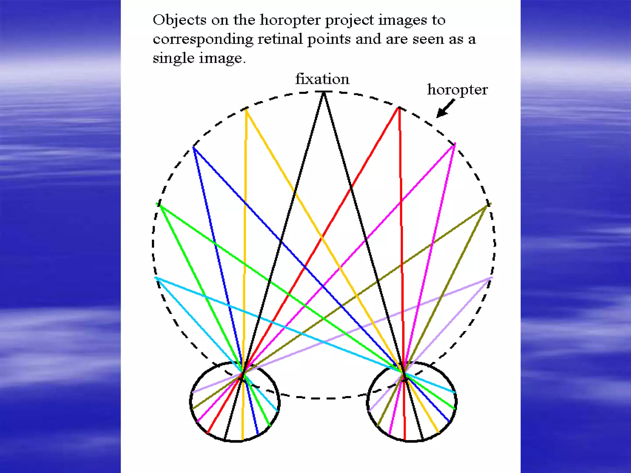 The Horopter
 