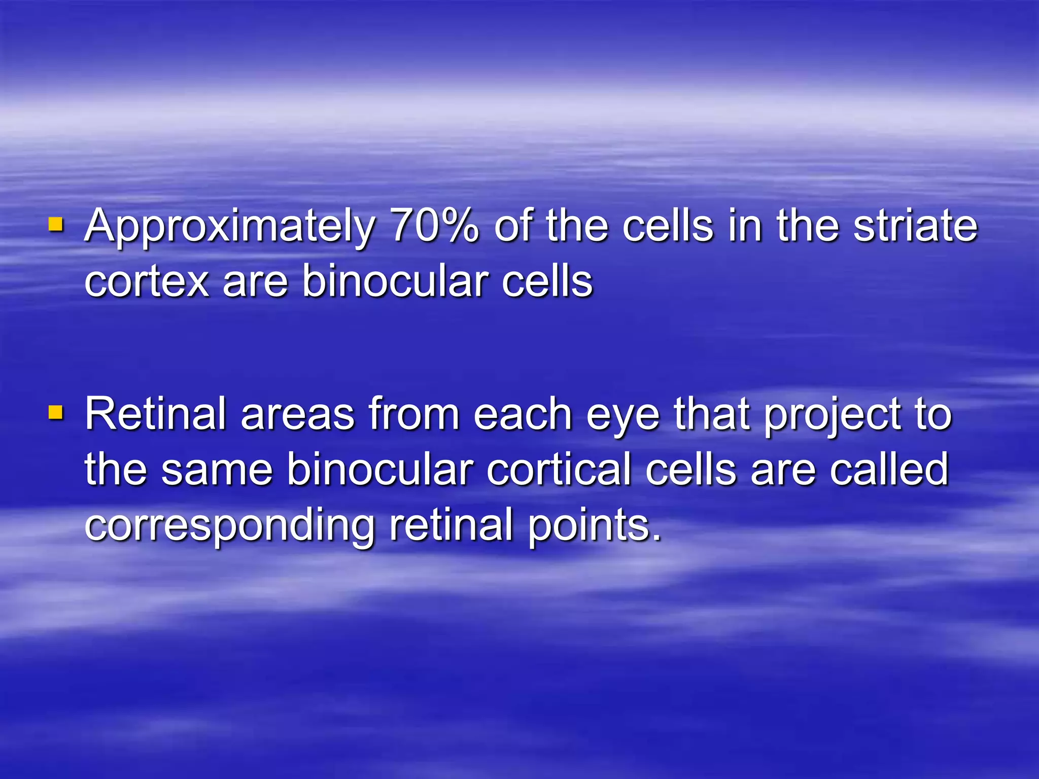  Approximately 70% of the cells in the striate
cortex are binocular cells
 Retinal areas from each eye that project to
the same binocular cortical cells are called
corresponding retinal points.
 