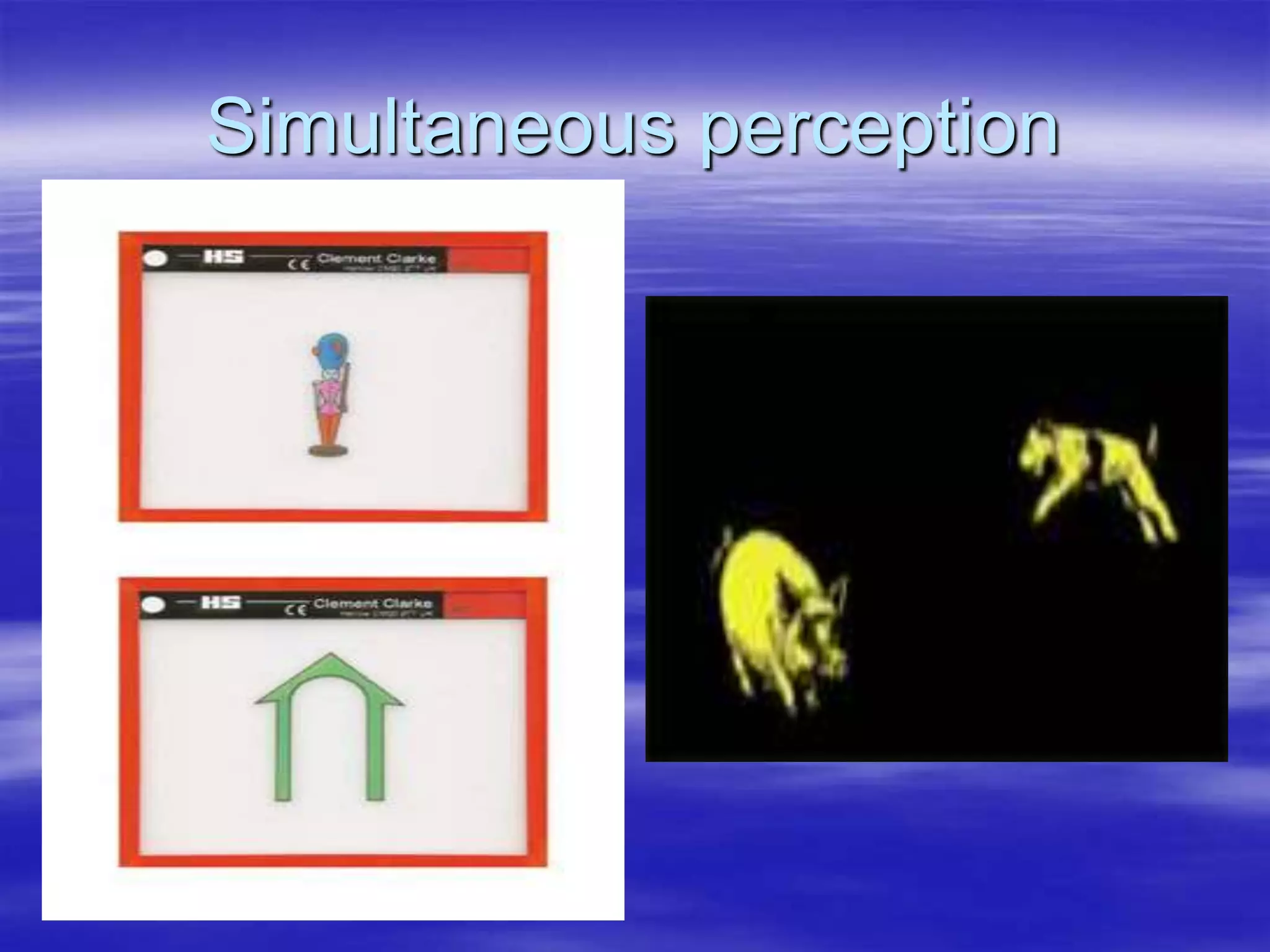 Simultaneous perception
 