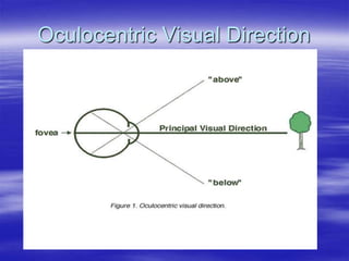 Oculocentric Visual Direction
 