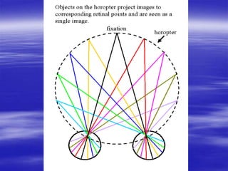 The Horopter
 