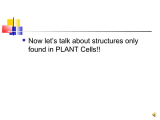    Now let’s talk about structures only
    found in PLANT Cells!!
 