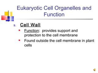 Eukaryotic Cell Organelles and
                Function
9.       Cell Wall
         Function: provides support and
          protection to the cell membrane
         Found outside the cell membrane in plant
          cells
 