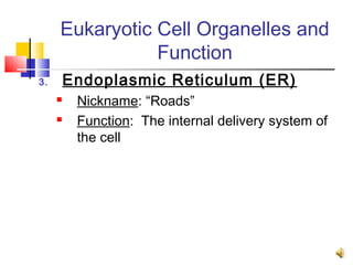 Eukaryotic Cell Organelles and
                Function
3.       Endoplasmic Reticulum (ER)
         Nickname: “Roads”
         Function: The internal delivery system of
          the cell
 