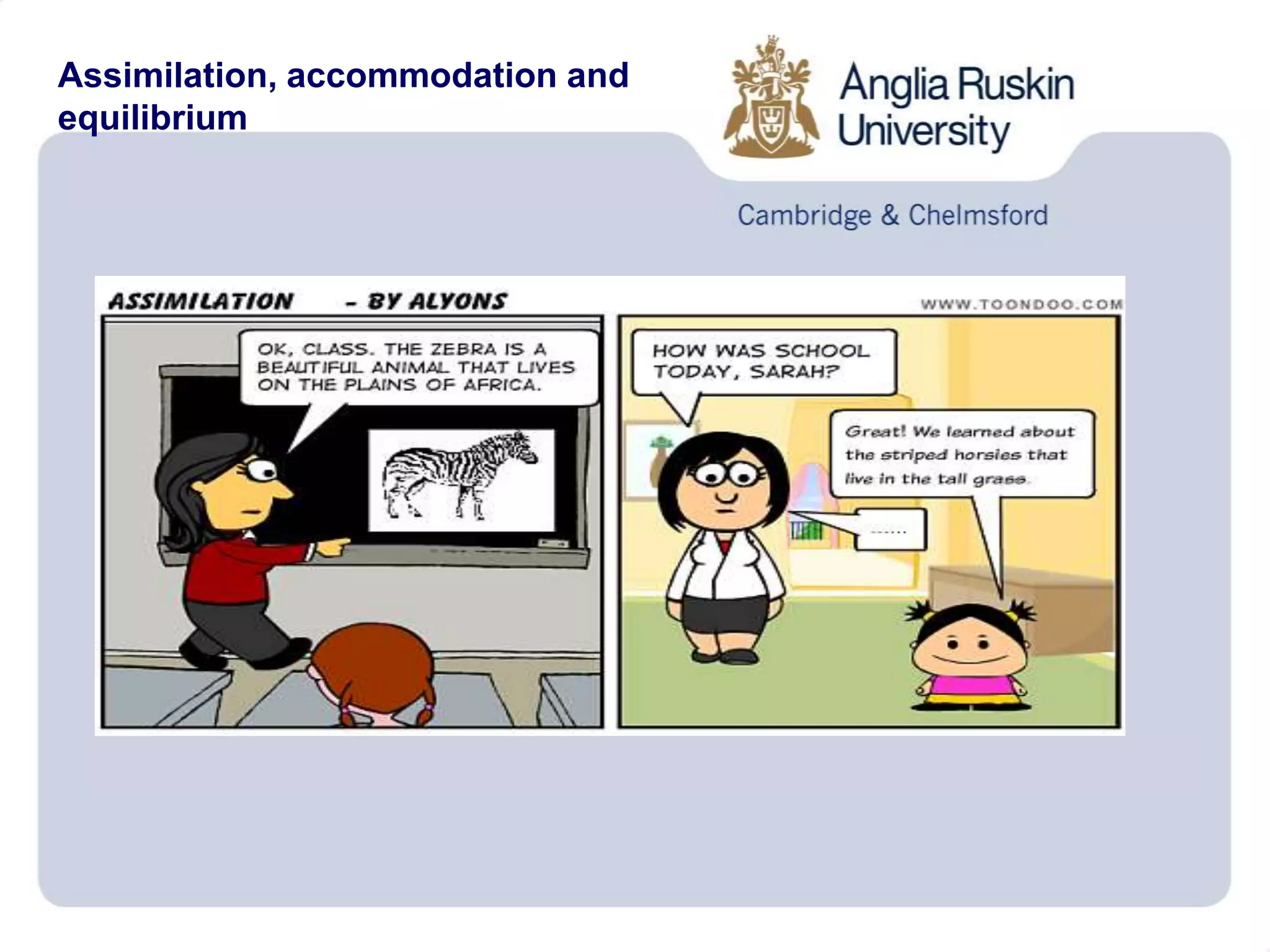 Assimilation, accommodation and
equilibrium
 
