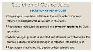 Secretion of Gastric Juice
SECRETION OF PEPSINOGEN
Pepsinogen is synthesized from amino acids in the ribosomes
attached to endoplasmic reticulum in chief cells.
Pepsinogen molecules are packed into zymogen granules by Golgi
apparatus.
When zymogen granule is secreted into stomach from chief cells, the
granule is dissolved and pepsinogen is released into gastric juice.
Pepsinogen is activated into pepsin by hydrochloric acid.
 