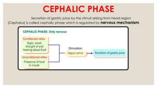 CEPHALIC PHASE
Secretion of gastric juice by the stimuli arising from head region
(Cephalus) is called cephalic phase which is regulated by nervous mechanism.
 
