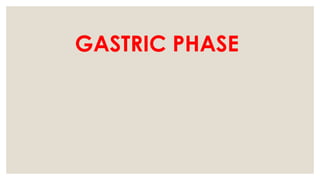 GASTRIC PHASE
 