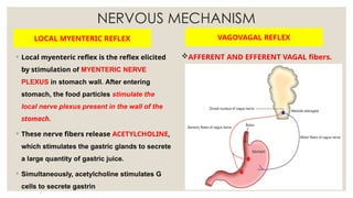 NERVOUS MECHANISM
LOCAL MYENTERIC REFLEX
◦ Local myenteric reflex is the reflex elicited
by stimulation of MYENTERIC NERVE
PLEXUS in stomach wall. After entering
stomach, the food particles stimulate the
local nerve plexus present in the wall of the
stomach.
◦ These nerve fibers release ACETYLCHOLINE,
which stimulates the gastric glands to secrete
a large quantity of gastric juice.
◦ Simultaneously, acetylcholine stimulates G
cells to secrete gastrin
VAGOVAGAL REFLEX
AFFERENT AND EFFERENT VAGAL fibers.
 