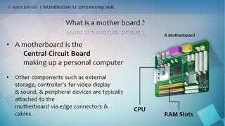 Introduction to input devices & processing unit