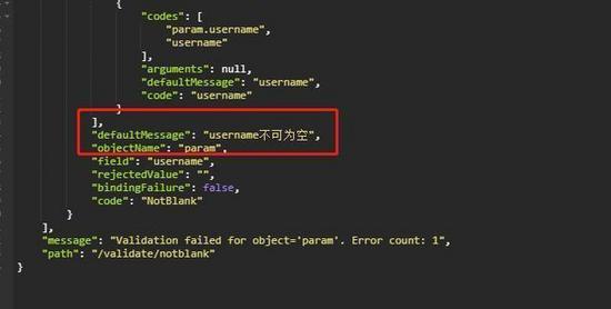 【快学springboot】4.接口参数校验