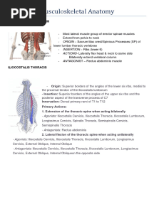 Musculoskeletal Anatomy Review Notes
