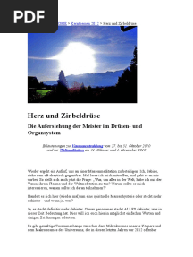 Herz Und Zirbeldruese