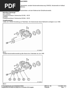 Vanos Reparatur E34