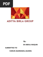 PDF Document
