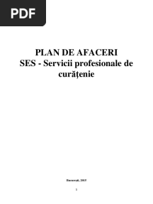 Model Plan de Afaceri SES Curatenie