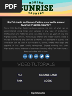 PDF Document