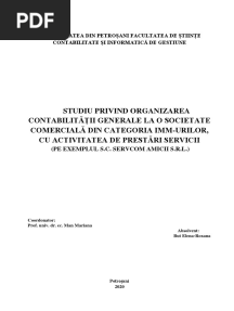 Licenta Contabilitate