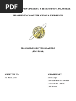 PDF Document