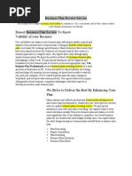 Business Plan Review Service