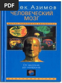Chelovecheskiy Mozg Ot Aksona Do Neyrona