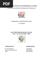 PDF Document