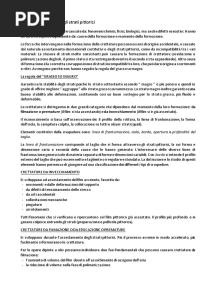 Lezione: Degrado Degli Strati Pittorici