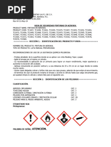 Hoja de Seguridad de Pintura Aerosol Toolcraft