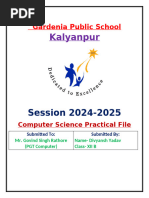 PDF Document