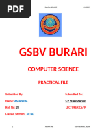 PDF Document