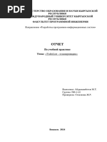Отчет по практике Медер