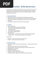 Sinteza Glomerulonefrite FINAL