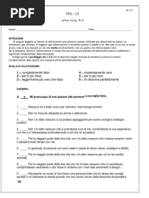 YSQ L3 Schema Questionaire