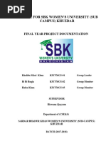 PDF Document