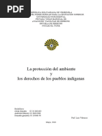 Trabajo Constitucional (1)