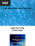 alters1e_ppt_ch05.ppt