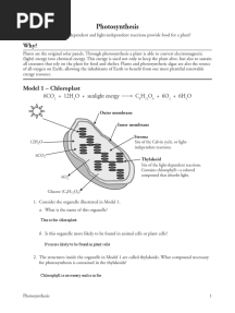11 Photosynthesis Pogil