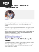 PDF Document