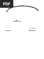 PDF Document