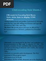 PDF Document