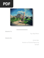 PDF Document