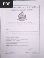 PDF Document