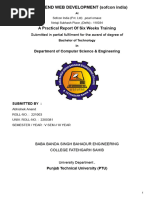 PDF Document