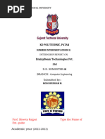 PDF Document